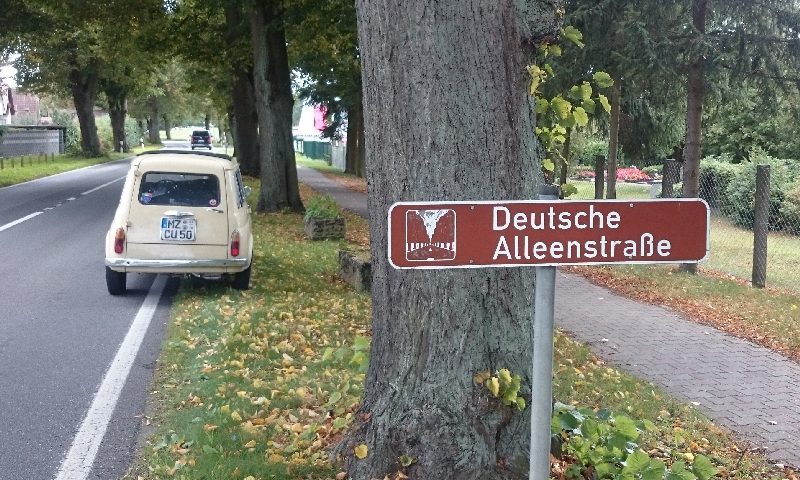 Fiat 500 auf der Deutschen Alleenstraße